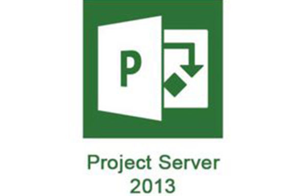 Formation MS-Project Server, utilisation pour versions 2016 et 2013